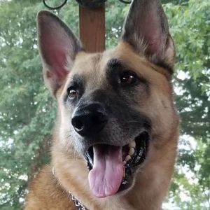 Meet your Posher, Mary